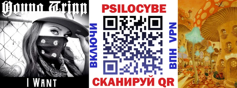 hydra зеркало  Южно-Сухокумск  Галлюциногенные грибы GOLDEN TEACHER 