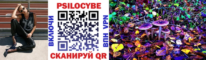 Псилоцибиновые грибы MAGIC MUSHROOMS Южно-Сухокумск